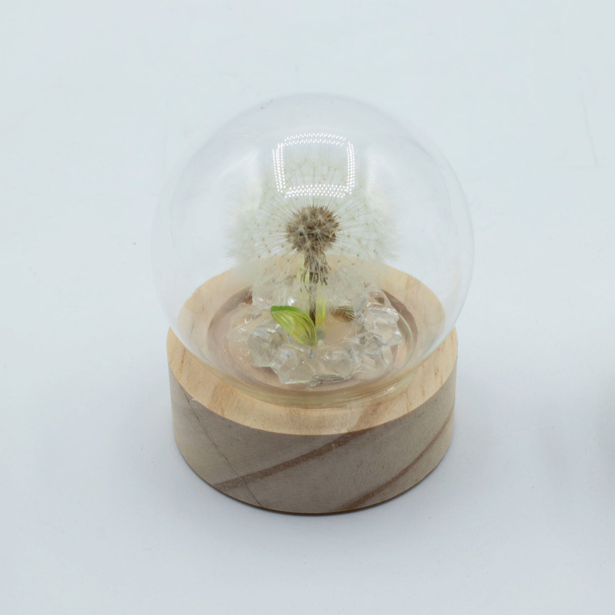 Floral Glow Dome - 1 Dandelion, LED Battery – view 3
