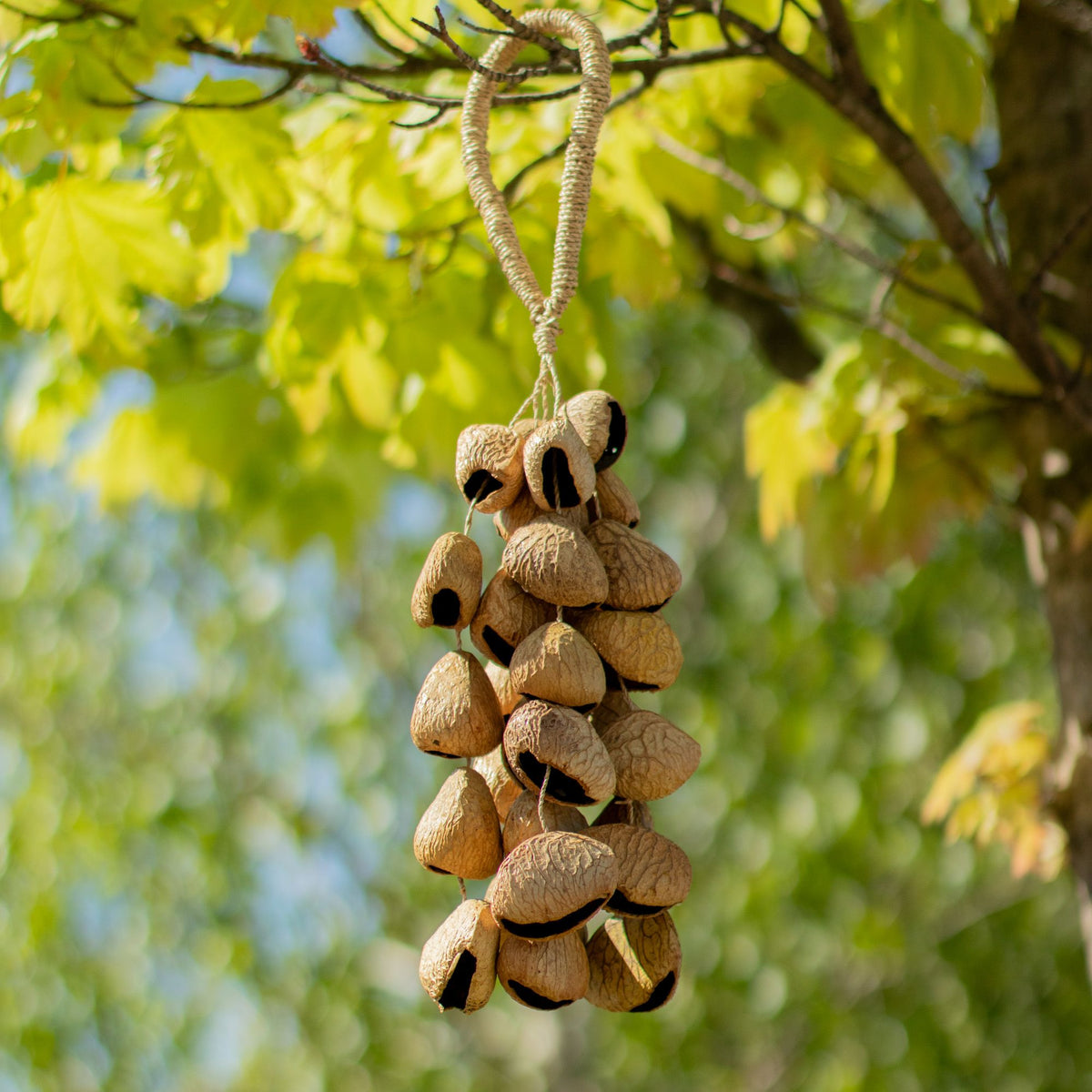 Kenari Shell Long Hanging Rattle - 50 Shells – view 6