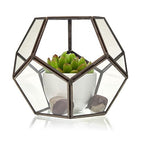 Glass Terrarium, Large Octagon – view 2