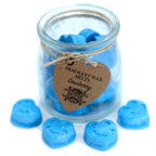 Soy Wax Melts Jar - Dewberry, 16 Hearts