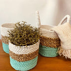 Seagrass Basket Set, 3 Pieces - Green, Natural, White