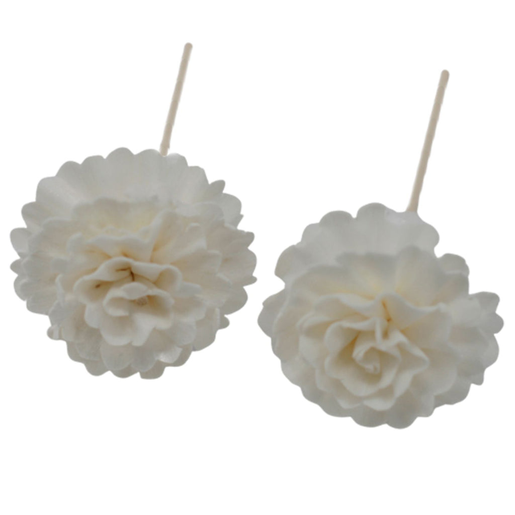 Sola Wood Carnation Diffuser Reeds, Set of 4 – view 4