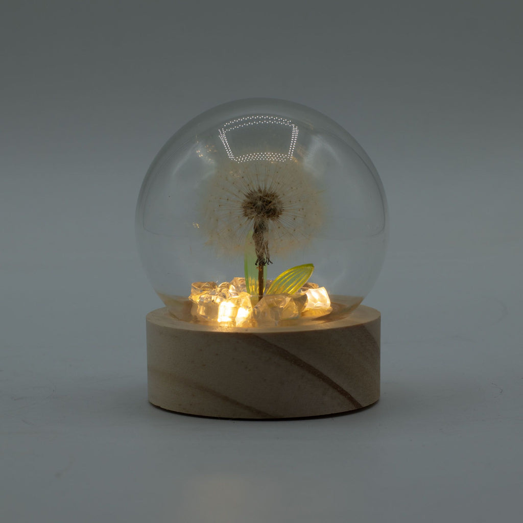 Floral Glow Dome - 1 Dandelion, LED Battery – view 2