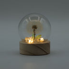 Floral Glow Dome - 1 Dandelion, LED Battery – view 2