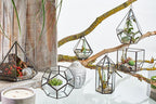 Glass Terrarium, Cube on Corner – view 3