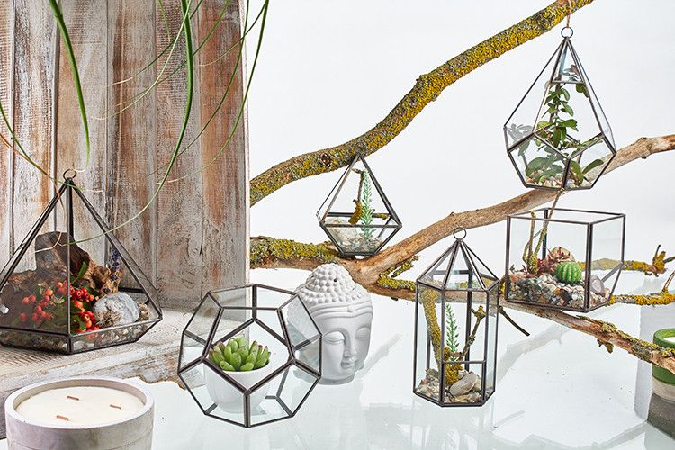 Glass Terrarium, Cube on Corner – view 3