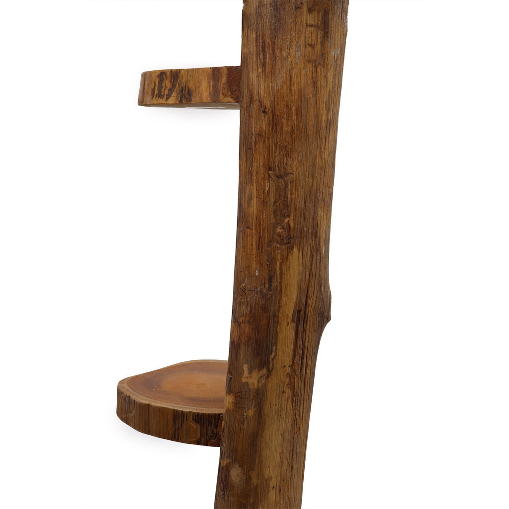 Natural Teak Log Shelf Display, 3 Shelves - 100 cm – view 2