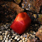 Crystal Elemental Soap - Fire – view 2