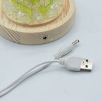Floral Glow Dome - Sunflowers, LED USB – view 4