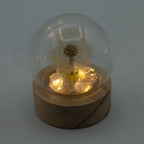 Floral Glow Dome - 1 Dandelion, LED Battery – view 4