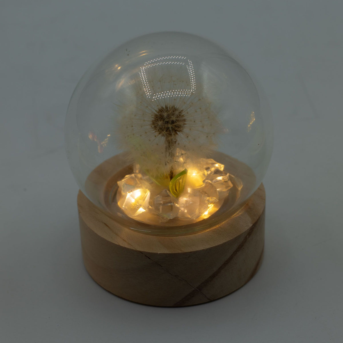 Floral Glow Dome - 1 Dandelion, LED Battery – view 4