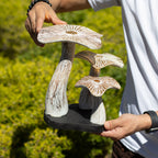 Golden Mushroom Wood Sculpture - Medium 25cm Whitewash – view 3