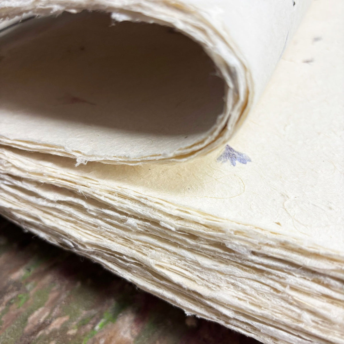 A4 Lokta Paper Pack, Marigold Petals, 20 Sheets – view 3