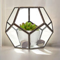 Glass Terrarium, Large Octagon