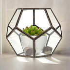Glass Terrarium, Large Octagon