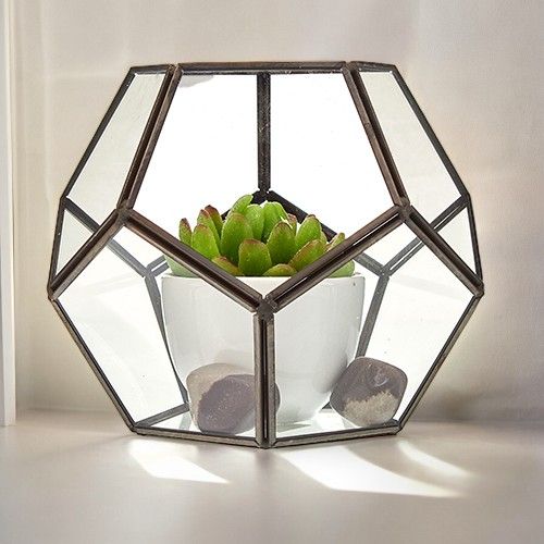 Glass Terrarium, Large Octagon