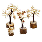Gomati Chakra Stone Trees, Set of 4 Sizes