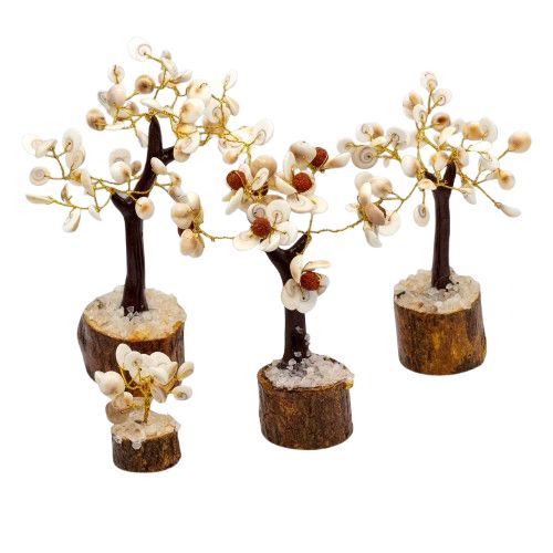 Gomati Chakra Stone Trees, Set of 4 Sizes