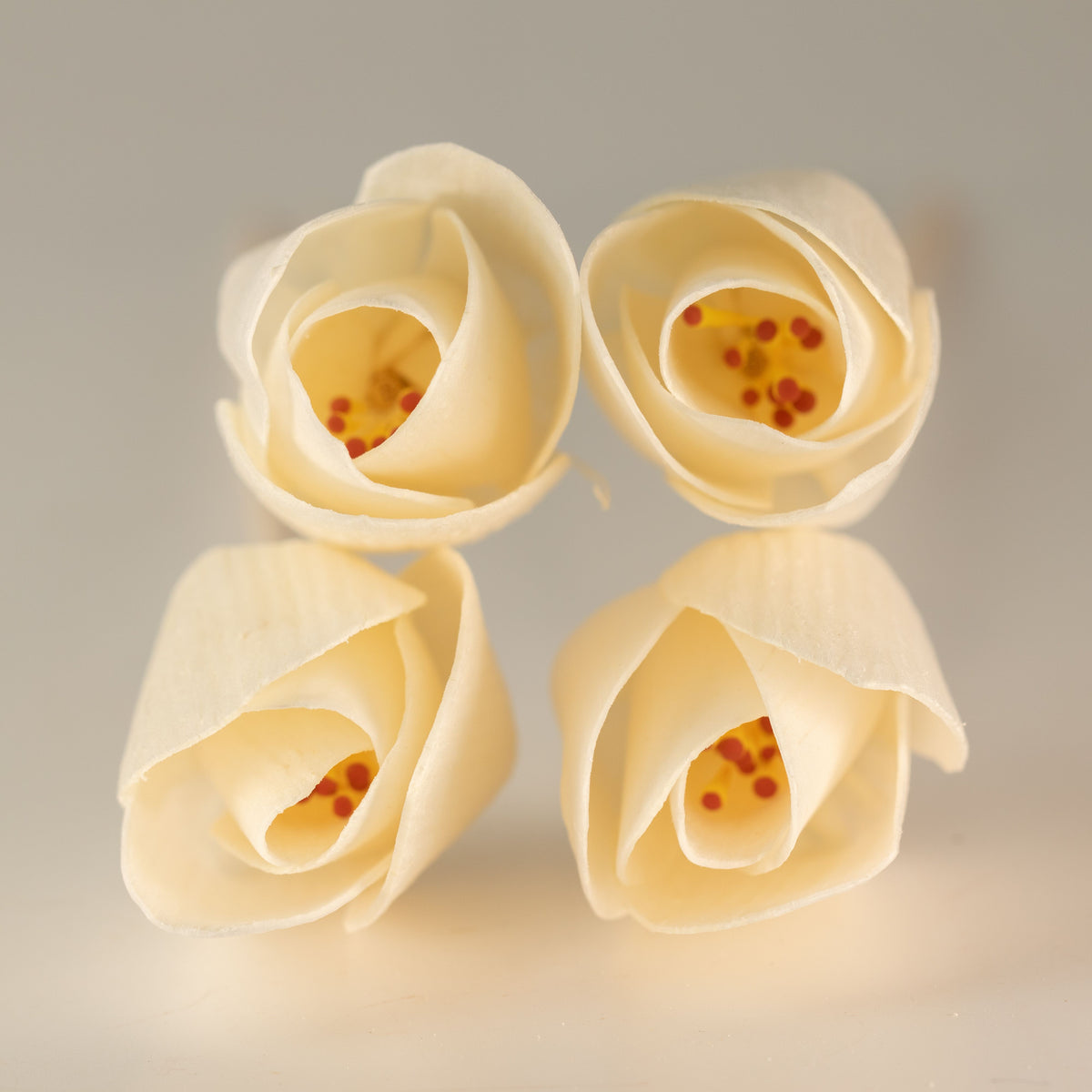 Sola Wood Tulip Diffuser Reeds, Set of 4 – view 6