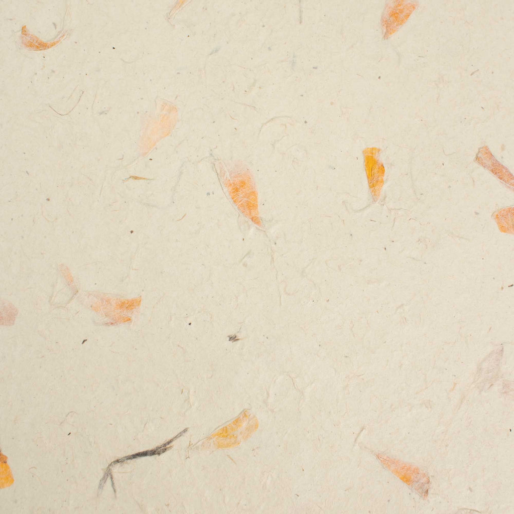 A4 Lokta Paper Pack, Marigold Petals, 20 Sheets