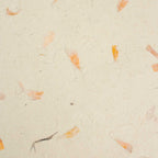 A4 Lokta Paper Pack, Marigold Petals, 20 Sheets