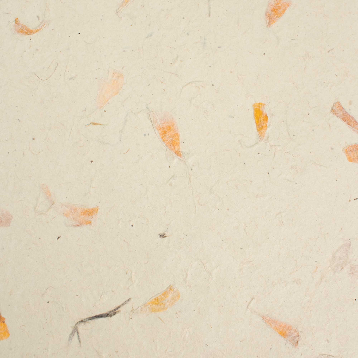 A4 Lokta Paper Pack, Marigold Petals, 20 Sheets