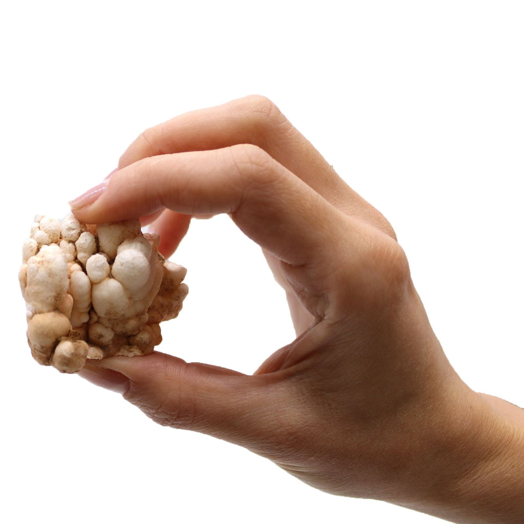Flower Calcite Mineral Specimen Tray, Approx 20 Pieces