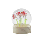 Floral Glow Dome - 5 Red Roses, LED Battery – view 4
