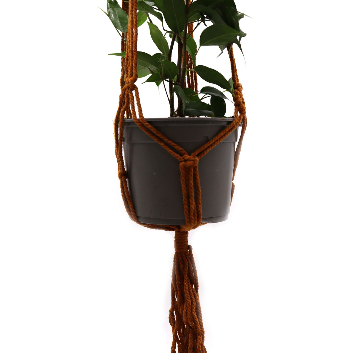Macrame Plant Hanger for Medium Pots - Chocolate – view 4