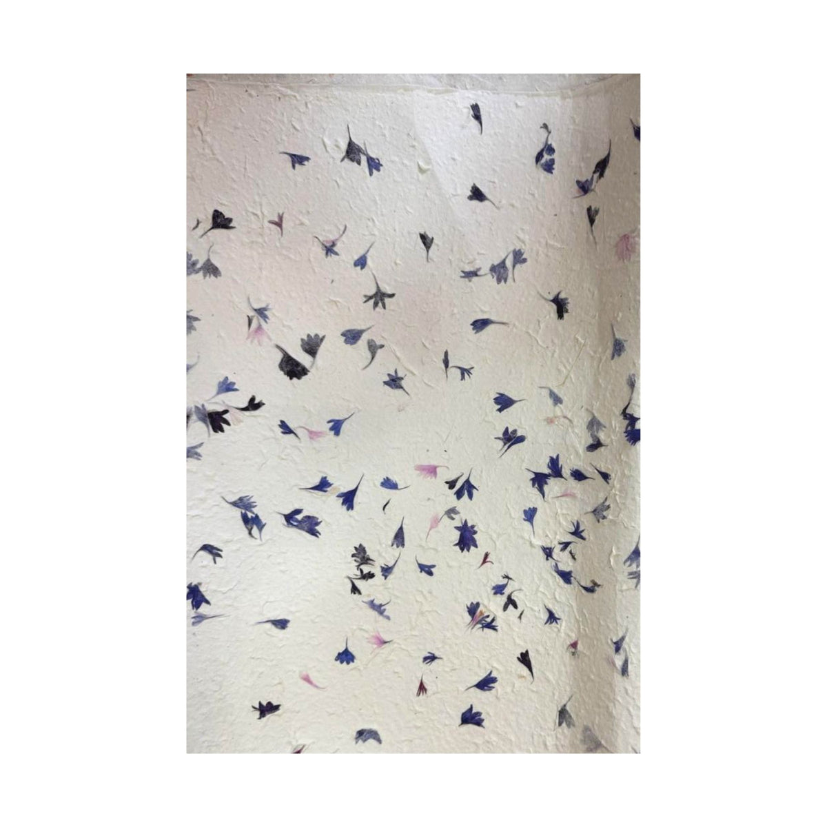 Lokta Wrapping Paper 51x76cm, Cornflower, Pack of 5 – view 2