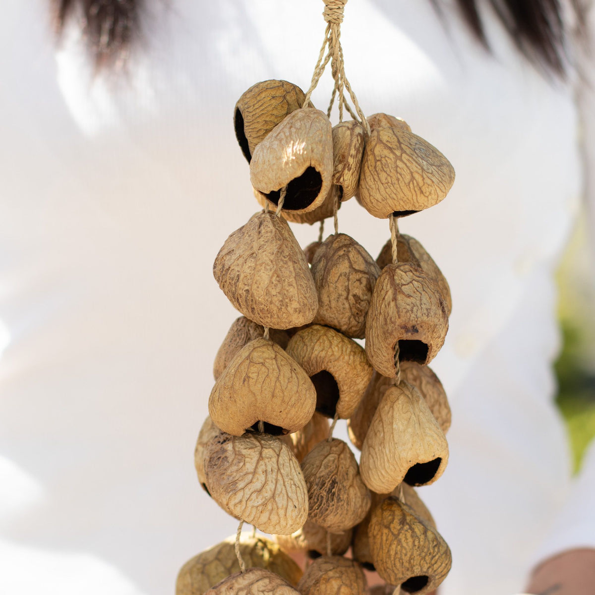 Kenari Shell Long Hanging Rattle - 50 Shells – view 5