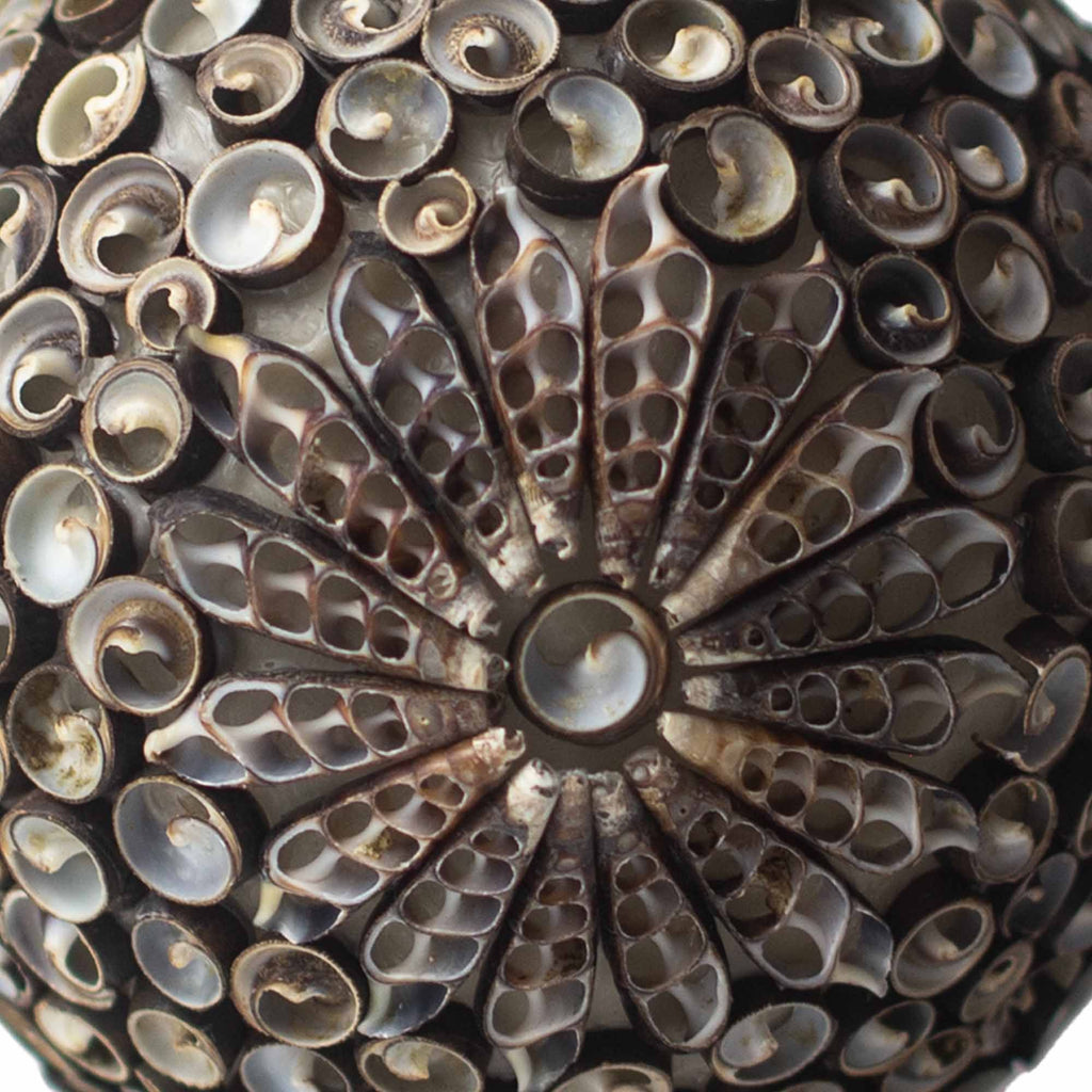 Boho Seashell Lamp - Chocolate Twist Oval, 15cm – view 3